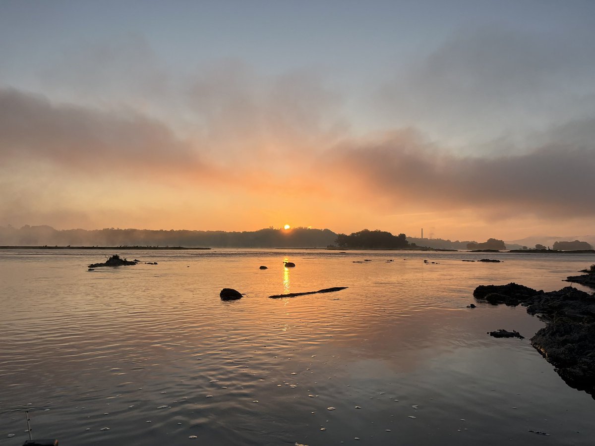 Average Dad Fishing tweet media