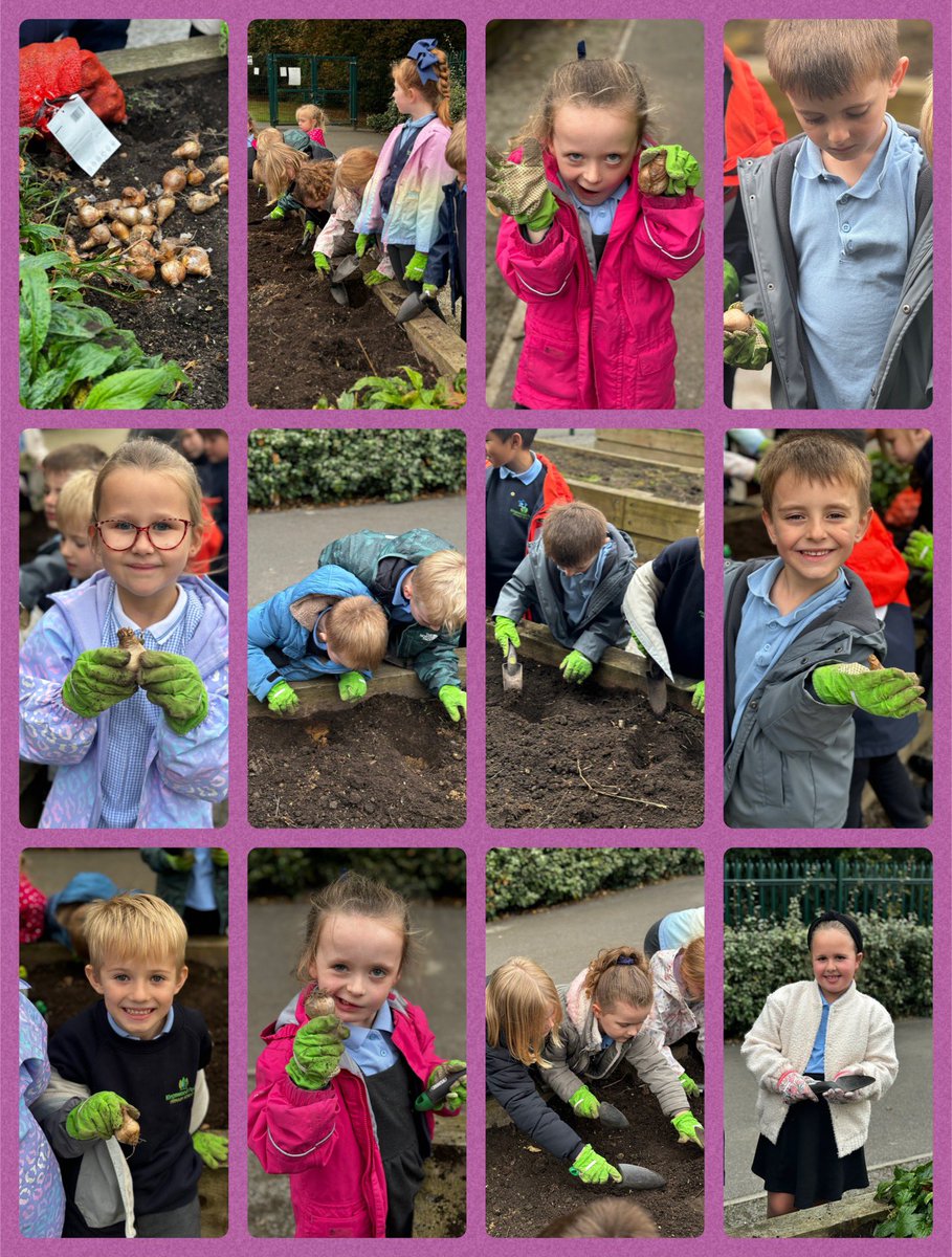 Tonight at gardening club we planted some daffodil bulbs 🌼 the children did such a good job! <a href="/MissWalker_KWP/">Miss Walker</a> <a href="/MissClayKWP/">MissClayKWP</a> <a href="/KingswoodParksP/">Kingswood Parks Primary School</a>