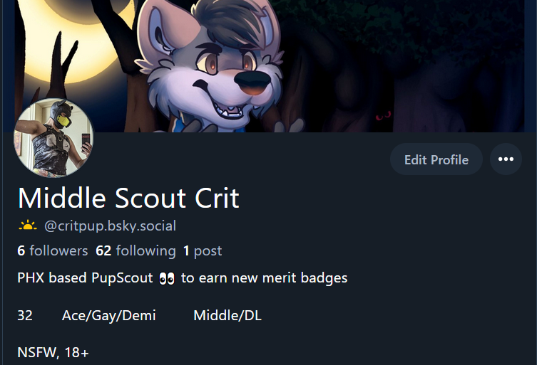 CritPup's tweet photo. Finally made a 🟦☁️ account as a back up to stay in contact with all you lovely people. https://t.co/jpVJoSLnTo