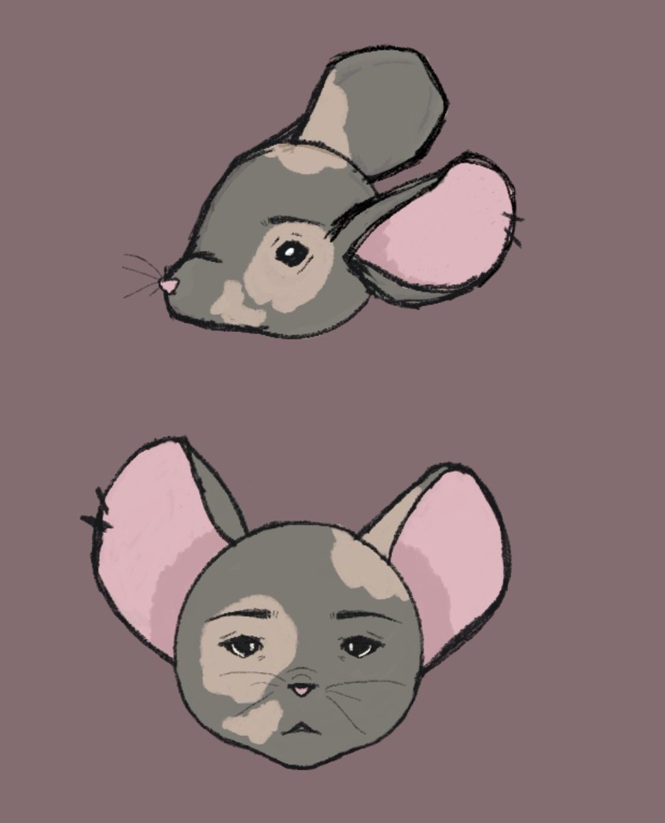*•RaT•* tweet media