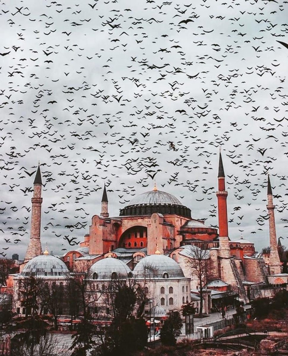 Ayasofya 🤍