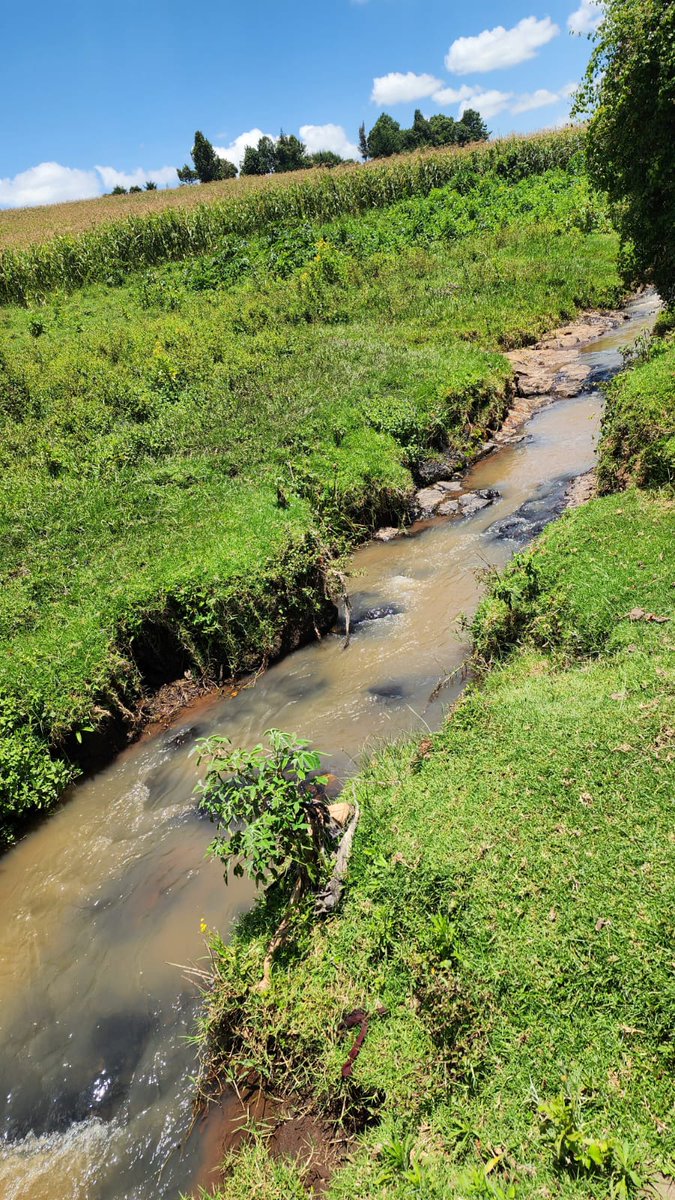 OgiekPeoples's tweet photo. 🌍🌿 This Climate Week, we're excited to support the Ogiek community in their commitment to sustainable development through distributing fruit trees to farmers on riparian lands. We’re taking steps towards a greener future together. #ClimateAction #OgiekCommunity #ClimateWeek2024 https://t.co/JgigH1gQDt
