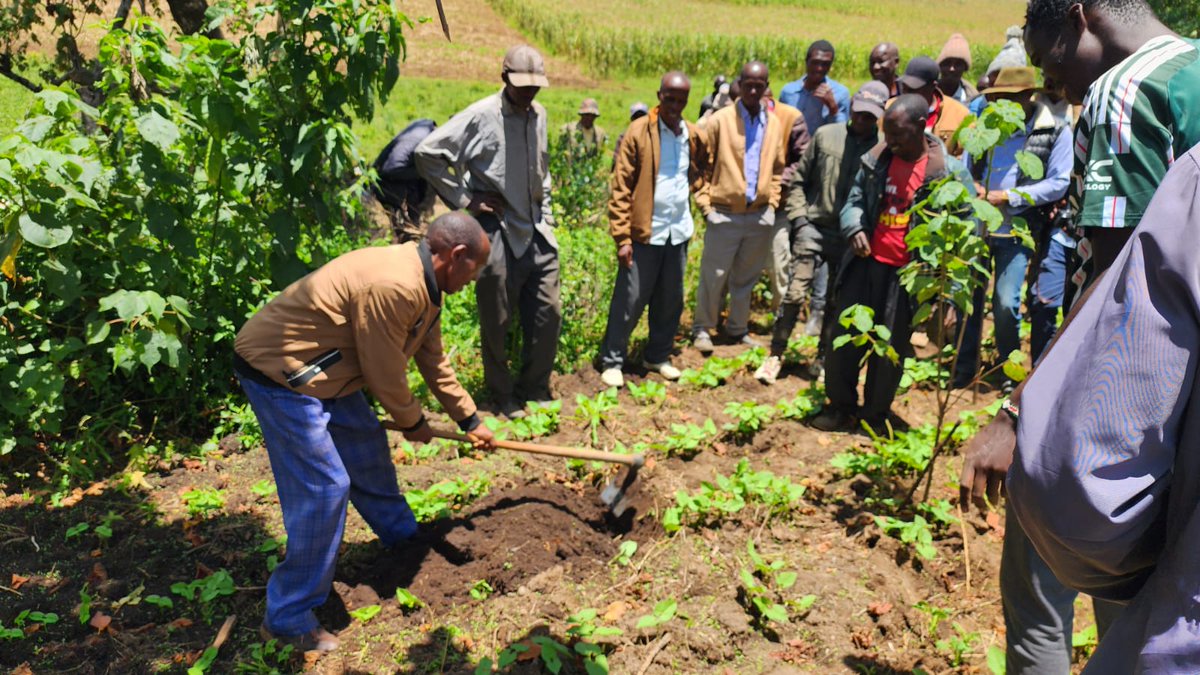 OgiekPeoples's tweet photo. 🌍🌿 This Climate Week, we're excited to support the Ogiek community in their commitment to sustainable development through distributing fruit trees to farmers on riparian lands. We’re taking steps towards a greener future together. #ClimateAction #OgiekCommunity #ClimateWeek2024 https://t.co/JgigH1gQDt