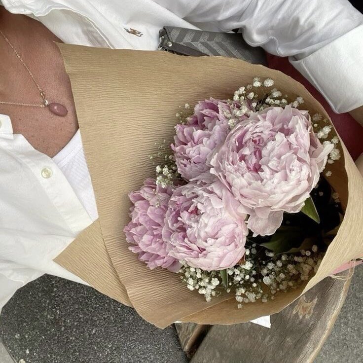 ‍

‍    • Mi pequeño acompañante.

‍