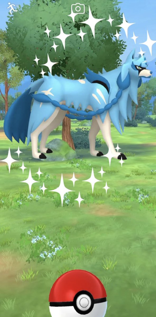 osukapain's tweet photo. It’s almost time!! 
Like and share for Shiny luck!! ✨ https://t.co/AAzbZn7Kqi