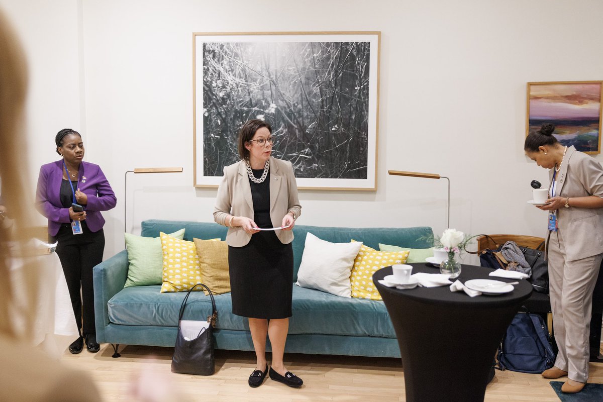 SwedenUN 🇸🇪 tweet media