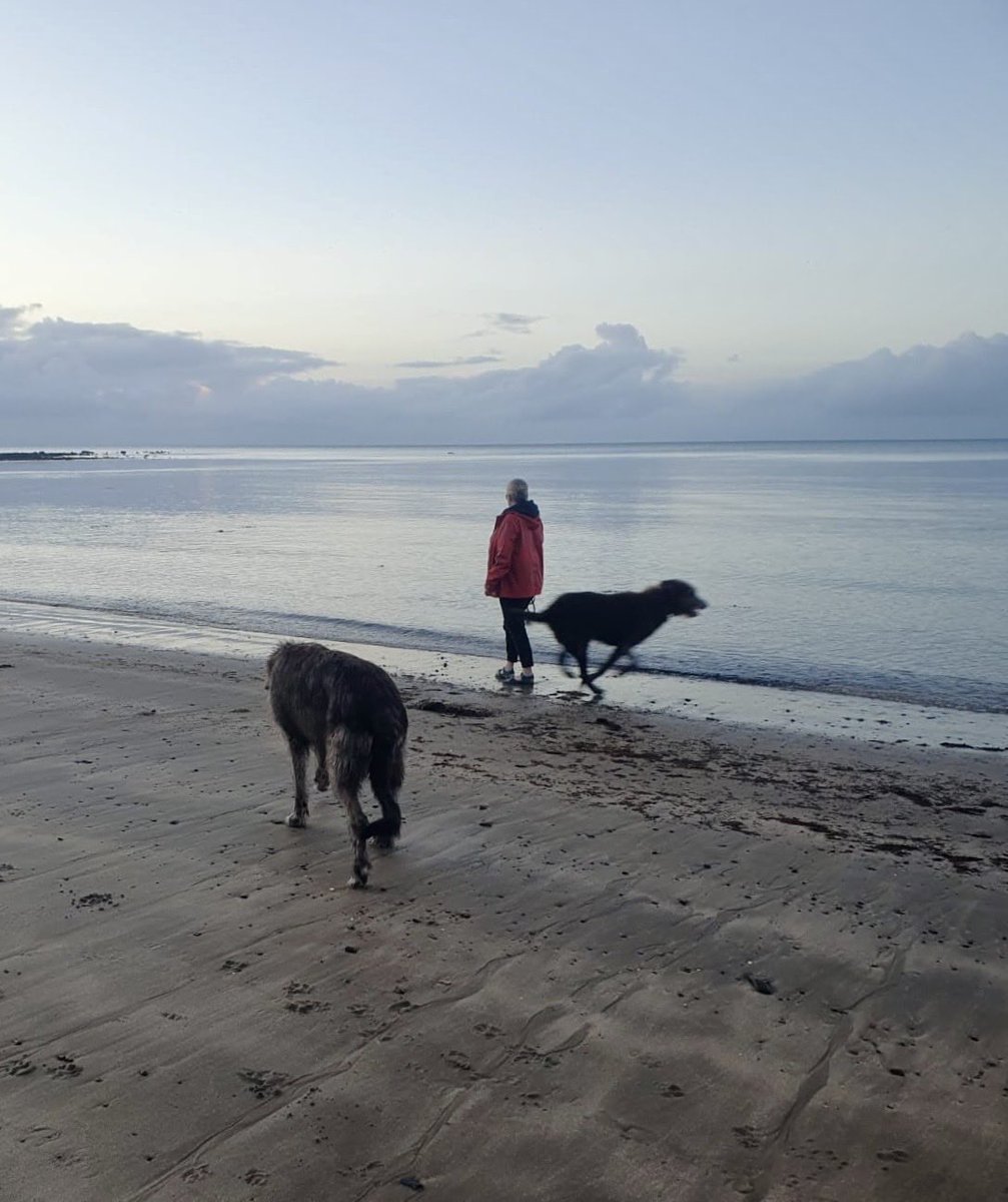 An opportune evening stroll between rain showers.
⁦<a href="/MartinGWolfie/">Martin</a>⁩