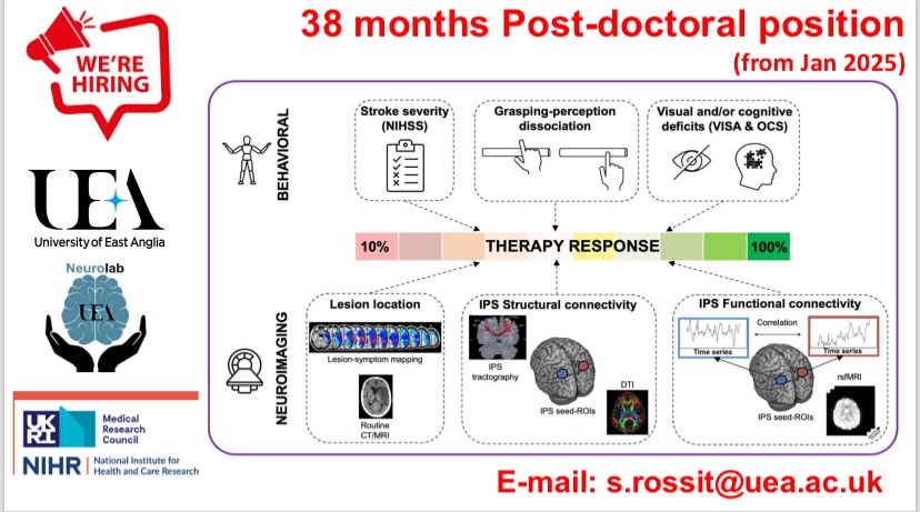 Dr Stephanie Rossit 🧠👀🖐 tweet media
