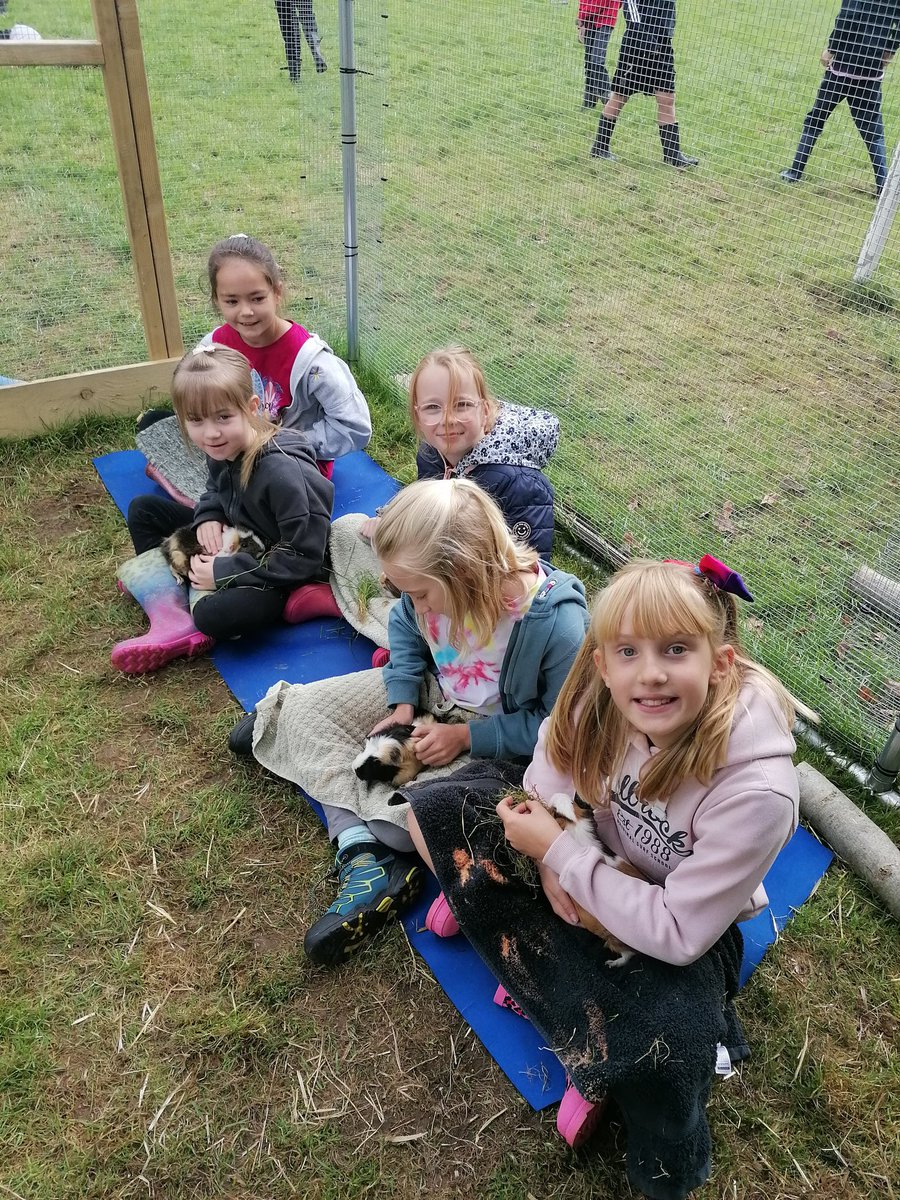 Llanishen Fach tweet media