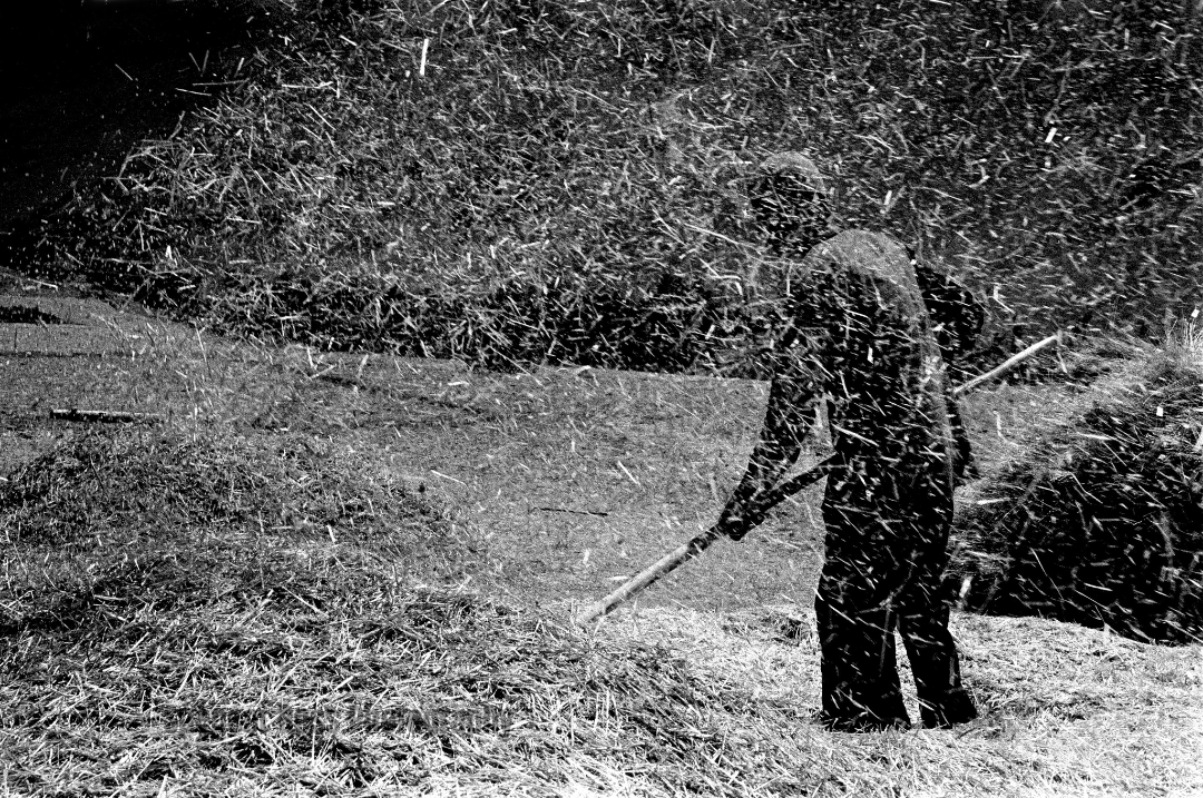 SRoss75years's tweet photo. New Hampshire Farmer (1968) #photography #blackandwhitephotography #nikonphotography #photooftheday #photographer #NewHampshire  #photographer #art #capture #photographylovers #artphotography #artisartcommunity #fineartphotography #75yearsofphotography #spencerross https://t.co/fyc4sJvoVh
