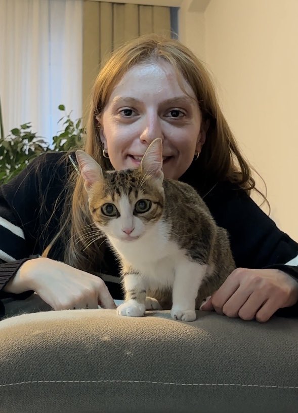 handisgo's tweet image. 