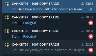 Can Özsüer tweet media