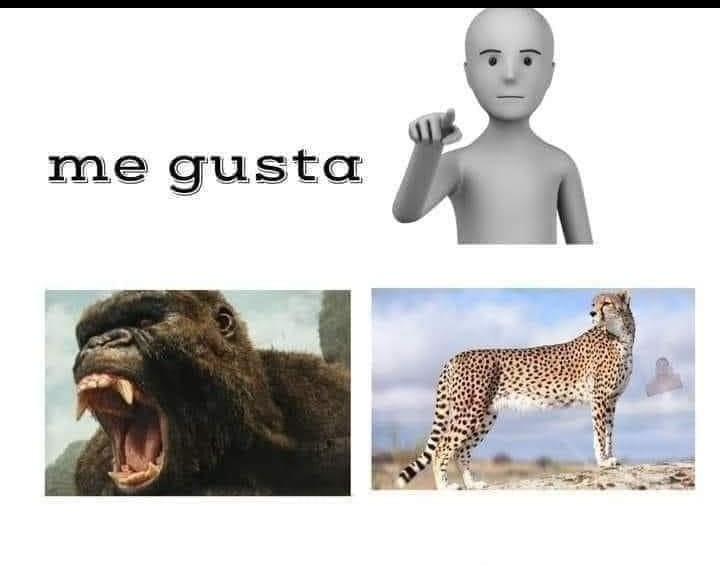 Ludaing's tweet image. Que dice?🤔
😏