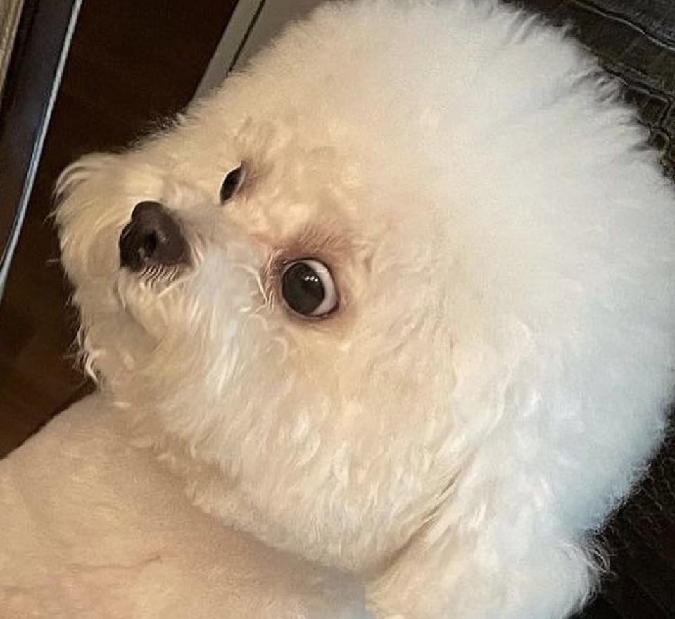 <a href="/yelotree/">Yelo</a>