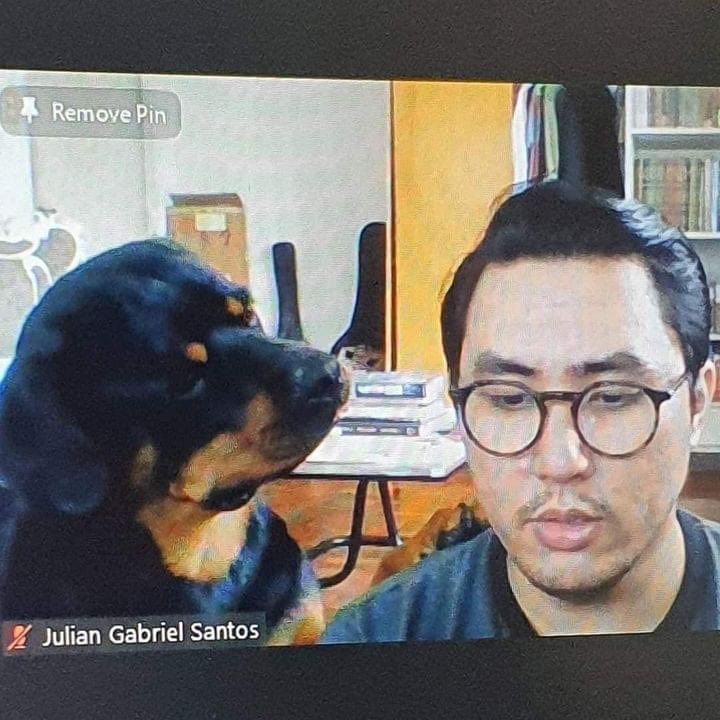 DiloConPerritos's tweet photo. - Qué reverenda tontería acabas de decir, Julián Gabriel… https://t.co/XBasRwofVv