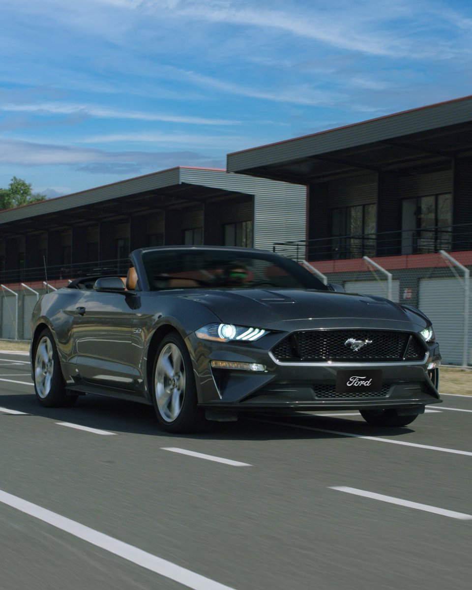 Mustang México tweet media