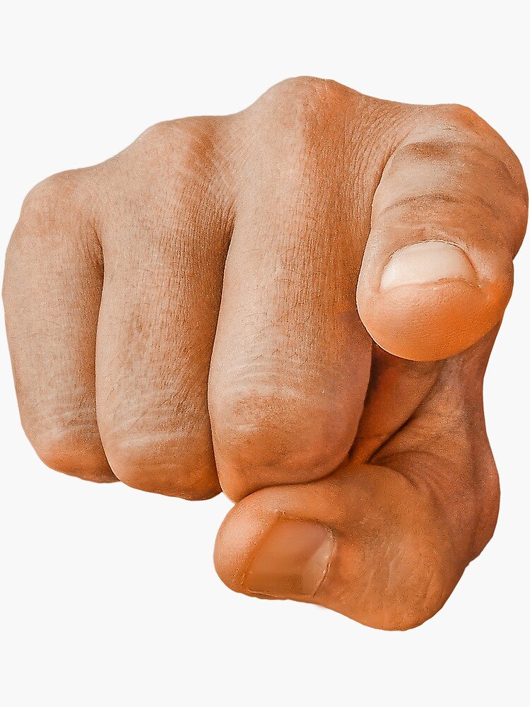 Peri 🐧 |Penguin Vtuber| tweet media