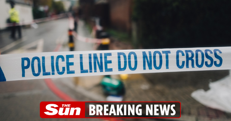 TheSun's tweet photo. Eight arrested on suspicion of murder after man shot dead

https://t.co/nFIb9Wuz0W https://t.co/io2m9SoIEZ