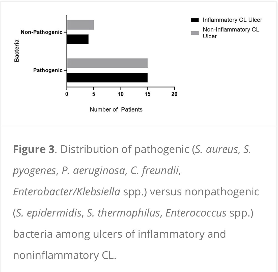 Andrea Boggild, MD (@boggildlab) on Twitter photo ❗️Publication alert❗️Out in <a href="/TAInfDis/">Therapeutic Advances in Infectious Disease</a> : see our paper on pathogenic & non-pathogenic bacteria identified in ulcers of cutaneous leish 👉 doi.org/10.1177/204993…. Congratulations to🔥team @BryanAGascon <a href="/ruwandi_k91/">Ruwandi Kariyawasam, PhD, FCCM, D(ABMM)</a> <a href="/rachel___lau/">Rachel Lau</a> @PriyankaChalla7 <a href="/braulio_mark/">Braulio Mark Valencia Arroyo</a> <a href="/JordanKM19/">Jordan Mah</a> 💪👏🙌 ❗️Publication alert❗️Out in <a href="/TAInfDis/">Therapeutic Advances in Infectious Disease</a> : see our paper on pathogenic & non-pathogenic bacteria identified in ulcers of cutaneous leish 👉 doi.org/10.1177/204993…. Congratulations to🔥team @BryanAGascon <a href="/ruwandi_k91/">Ruwandi Kariyawasam, PhD, FCCM, D(ABMM)</a> <a href="/rachel___lau/">Rachel Lau</a> @PriyankaChalla7 <a href="/braulio_mark/">Braulio Mark Valencia Arroyo</a> <a href="/JordanKM19/">Jordan Mah</a> 💪👏🙌