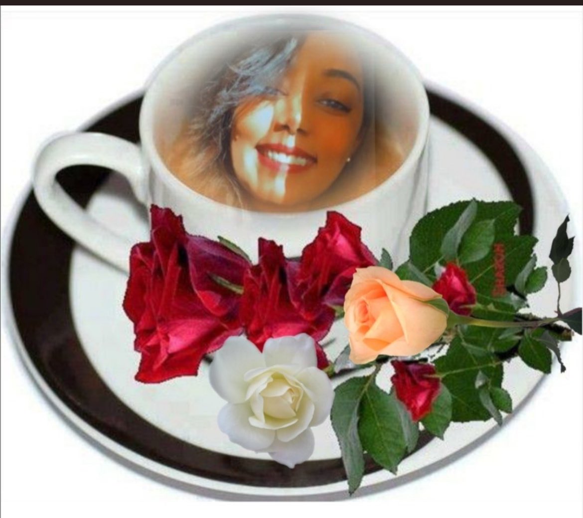 Esraa Abdulsalam tweet media