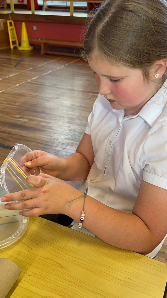 Rosneath Primary School & ELC tweet media