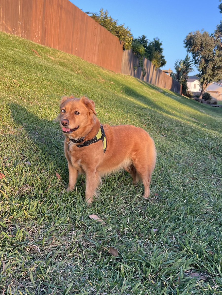 Ready to do some running!