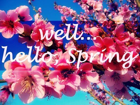 portallang's tweet photo. Fall Newsletter 2024 - https://t.co/1YKaWgKc7y https://t.co/cqCgMcl983
