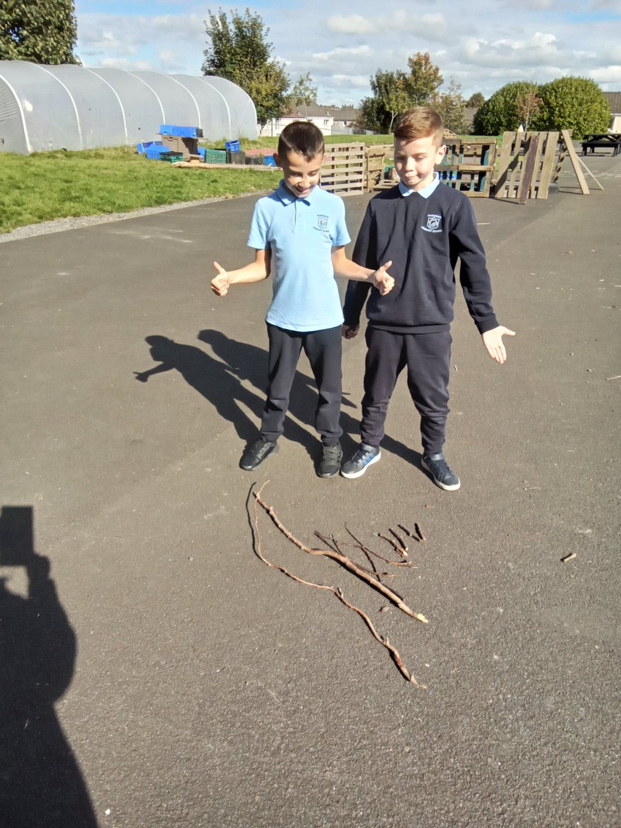 Bankhead Primary and Nursery School (@bankheadprimary) on Twitter photo Room 6 were using nature for measuring and counting for #MathsWeekScot <a href="/SLCNumeracy/">SLC Numeracy and Mathematics</a> Room 6 were using nature for measuring and counting for #MathsWeekScot <a href="/SLCNumeracy/">SLC Numeracy and Mathematics</a>