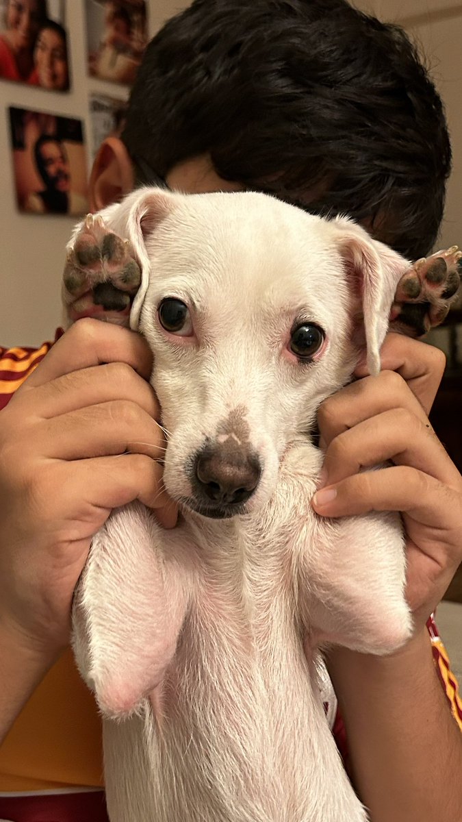 Yusha&amp; Icardi collage 💛❤️ #satınalmasahiplen #Icardi #GalatasaraySK