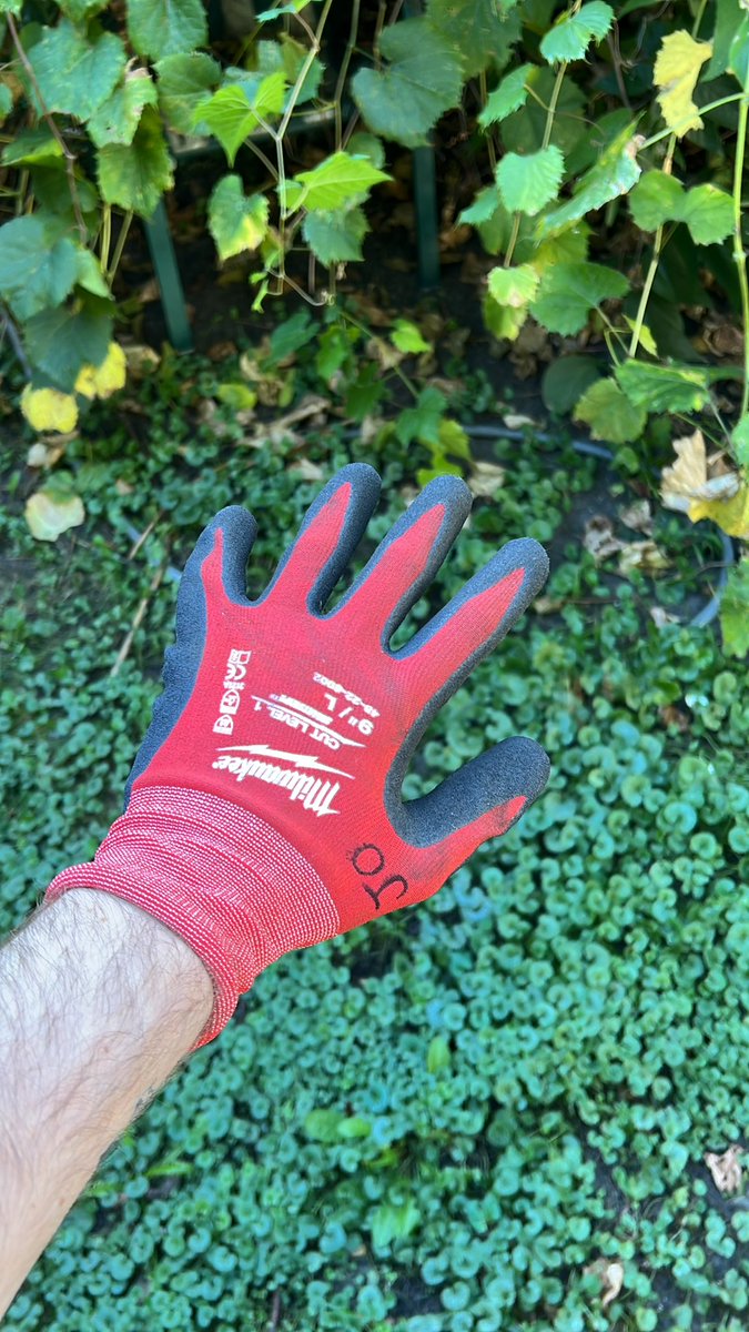 This is as close as u can get to feeling invincible