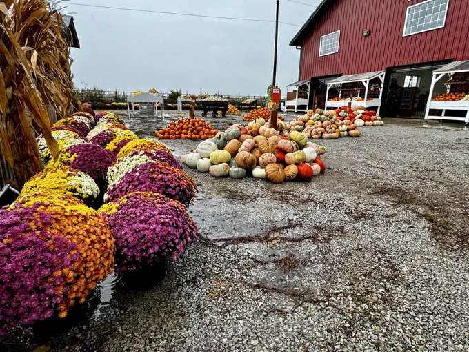 Image from Carolyn's Pumpkin Patch (@CarolynsPatch)