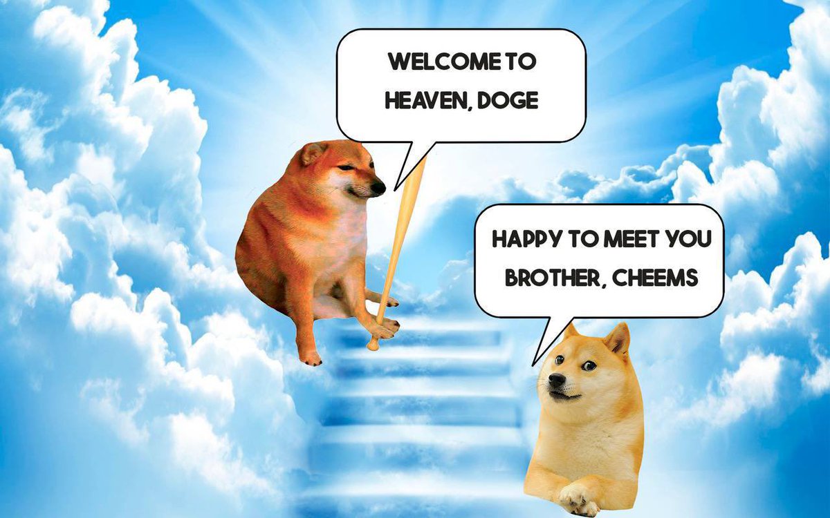 thecheemsoneth's tweet photo. The $cheems future is bright

#eth #memecoins https://t.co/TZRnHgep9A