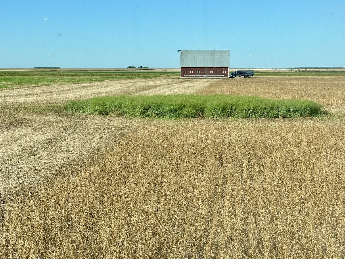 Jeff Elder tweet media