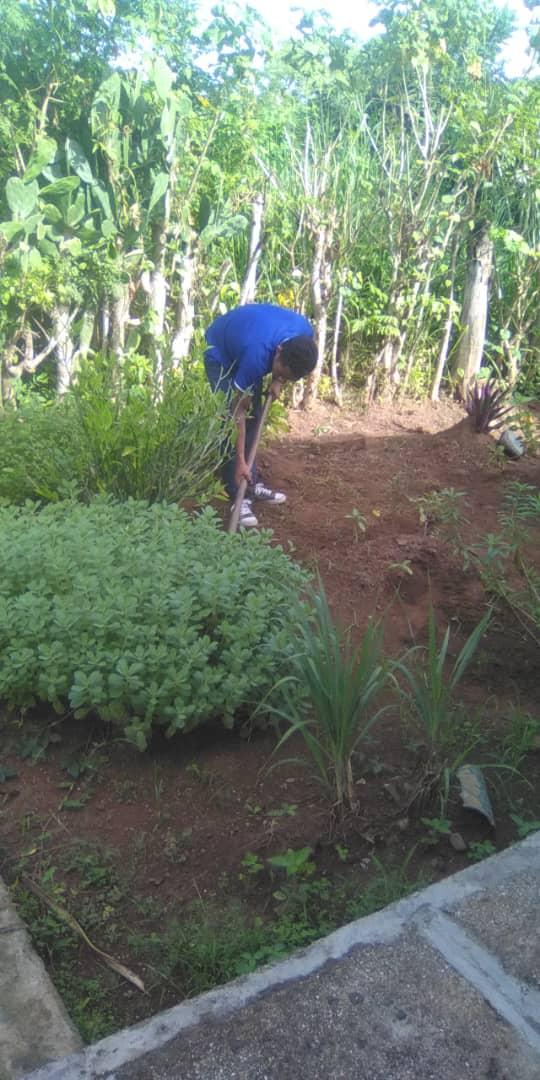 ViltresMiguel's tweet photo. 👏La #SalaDeTelevisión de Cerro 1, en el día de hoy realiza jornada de limpieza y embellecimiento del jardín de plantas medicinales 🌱así como el resto de las áreas verdes de su Sala♥️
#GenteQueSuman #ElBarrioNosUne #TodosSomosCederistas #UnidosHacemosCuba
#BartoloméMasó #Granma https://t.co/GB2u56LOB7