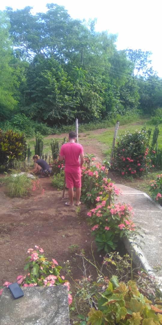 ViltresMiguel's tweet photo. 👏La #SalaDeTelevisión de Cerro 1, en el día de hoy realiza jornada de limpieza y embellecimiento del jardín de plantas medicinales 🌱así como el resto de las áreas verdes de su Sala♥️
#GenteQueSuman #ElBarrioNosUne #TodosSomosCederistas #UnidosHacemosCuba
#BartoloméMasó #Granma https://t.co/GB2u56LOB7