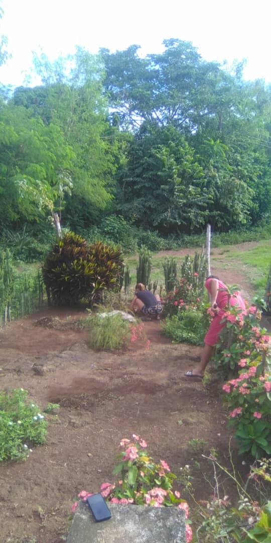 ViltresMiguel's tweet photo. 👏La #SalaDeTelevisión de Cerro 1, en el día de hoy realiza jornada de limpieza y embellecimiento del jardín de plantas medicinales 🌱así como el resto de las áreas verdes de su Sala♥️
#GenteQueSuman #ElBarrioNosUne #TodosSomosCederistas #UnidosHacemosCuba
#BartoloméMasó #Granma https://t.co/GB2u56LOB7