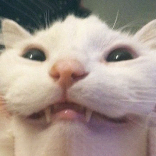 l4d 1k pr need fragger umiej sie fightować