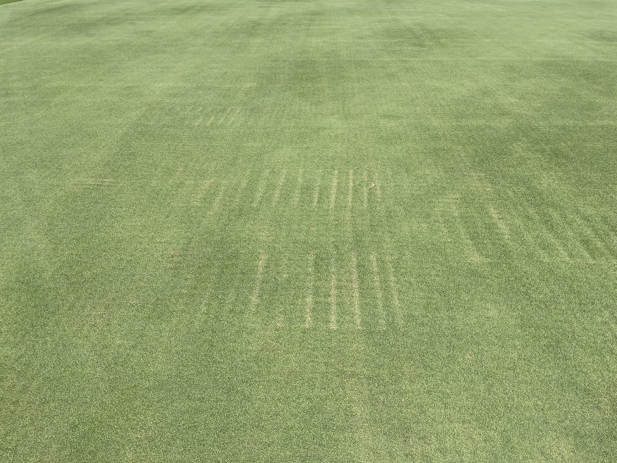Turf guys, putting this out there. Any tif eagle guys having trouble with the 3420 Toro greens master tri-flex heads doing this to your greens? Checked all info center parameters, sharpness, and mow speed. Thatch is at a minimum just 45 days post aeration.