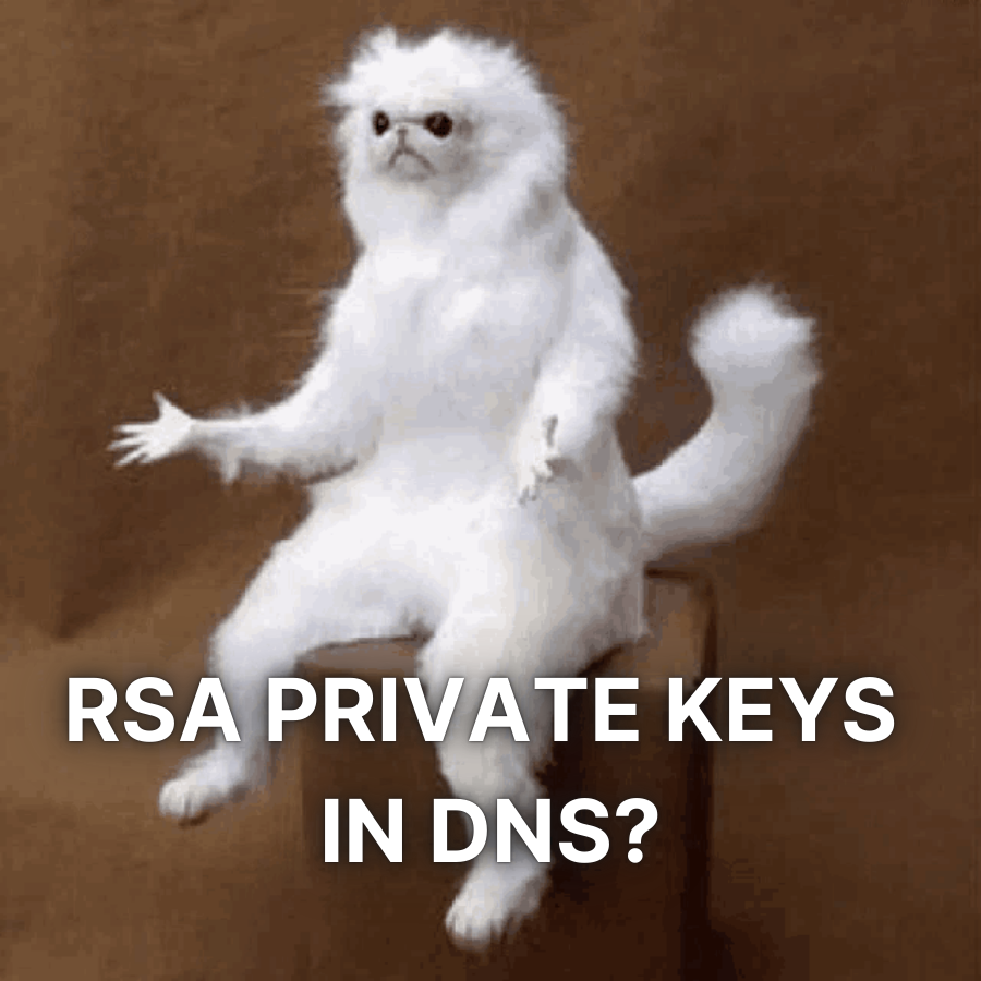 Our team has recently discovered a scary number of RSA private keys publicly stored in DNS TXT records. 

To our surprise, there is a special case where it actually makes sense! 🤯 

Find out more in our latest blogpost!
reconwave.com/blog/post/stor…