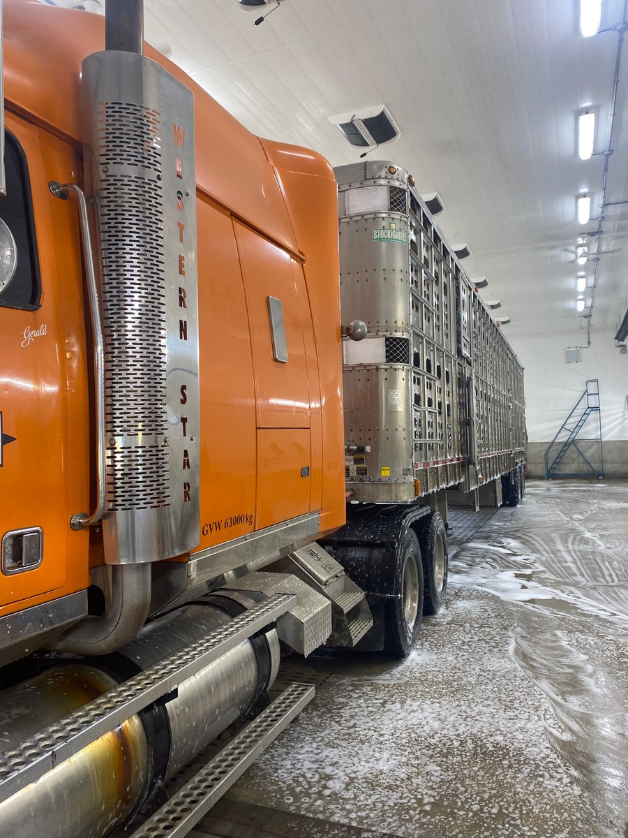 Ready for another load of hogs.