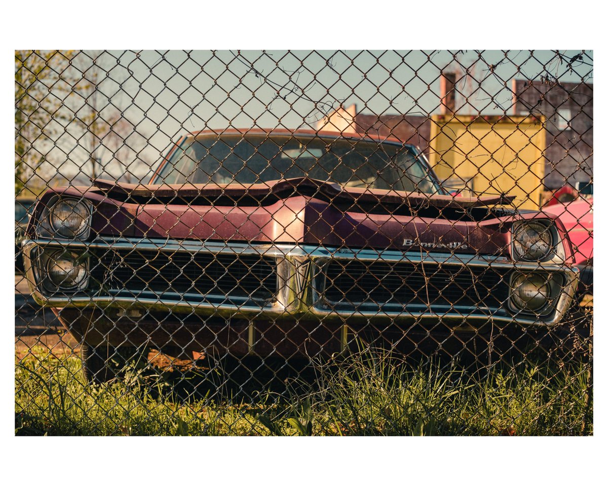 JcCapturedit's tweet photo. Welcome to Bonneville. 

Its citizens aren’t very active, but will pose for photos. 

Fujifilm XT-20 | 33mm f1.4

#photographer #photography #fuji #fujiphotography #fujifilm #fujifilm_xseries #tnphotographer #johnsoncitytn https://t.co/mAstgX34Dt