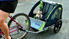 Rumplepimple1's tweet photo. #AGluttonFor being a passenger https://t.co/zTE1nmgnws