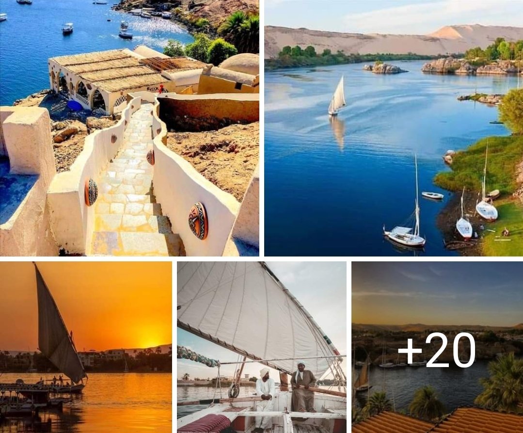 أسوان كانت تريند أزمة دلوقتي عايزين نطلعها تريند ..
كأجمل مدينة سياحية في العالم افتحوا الصور ❤️