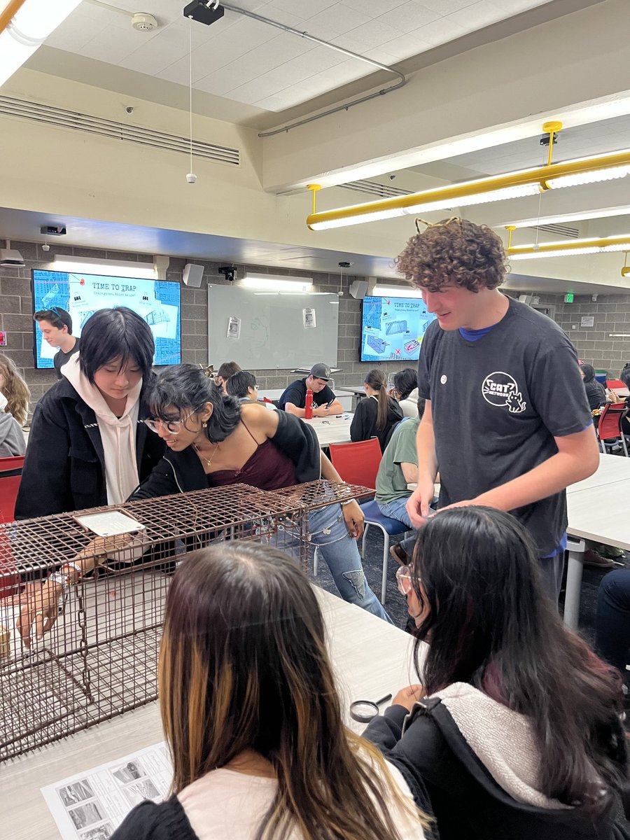 SBUCATNETWORK's tweet image. We cracked the case! 🐾🔍
Thank you all for coming to our Clawing for Clues GBM, or as we know it as our TNR Info Session. We hope you were able to learn a lot about how Purrlock Holmes 🐈 deals with feral and stray cat cases!