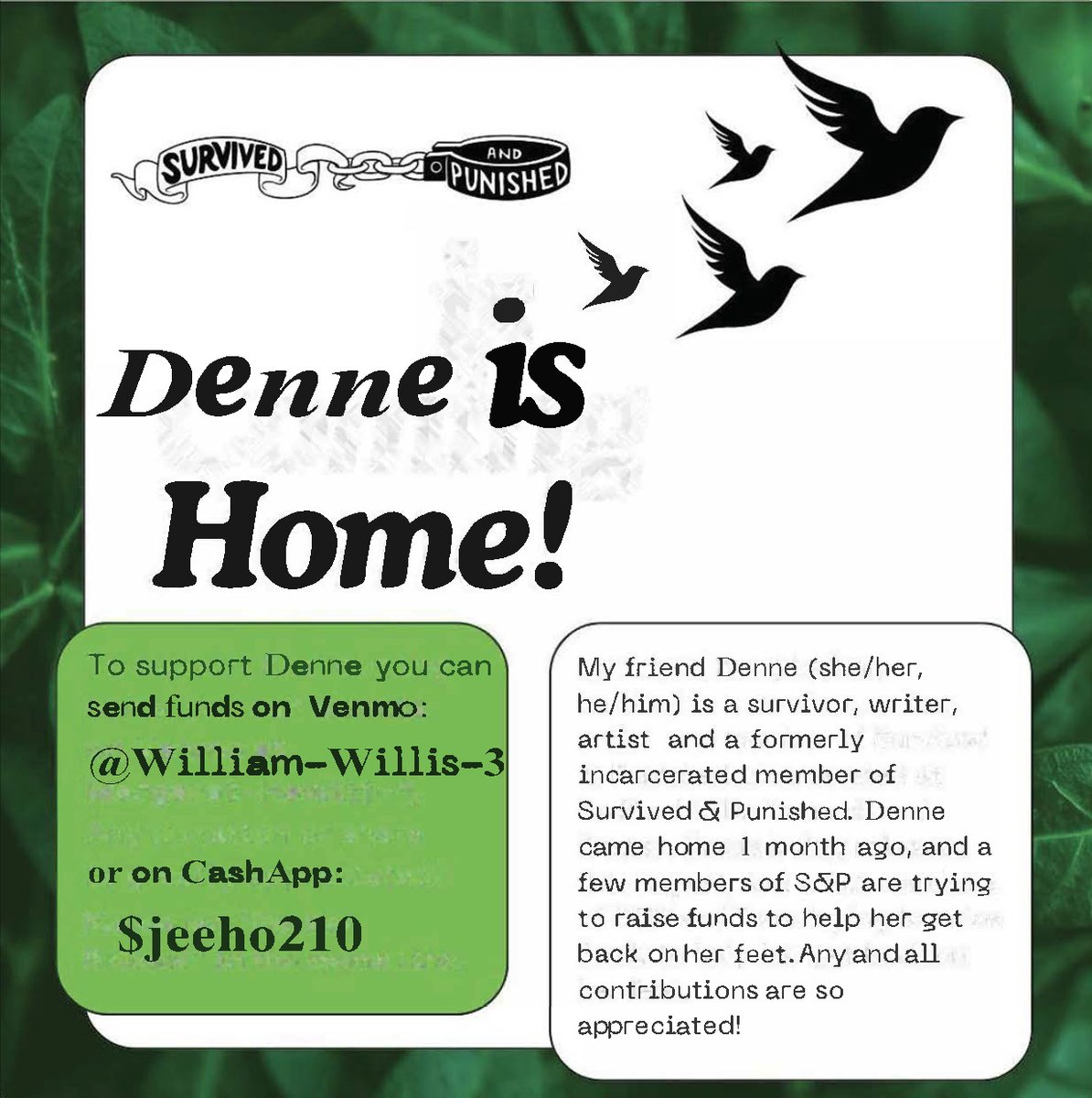 Denne (she/he) is home! Denne is a survivor, writer, artist, and a formerly incarcerated member of <a href="/survivepunishNY/">Survived & Punished NY</a>. He came home a month ago, and we're raising funds to help her get back on her feet.

venmo: @ william-willis-3

cashapp: $ jeeho210