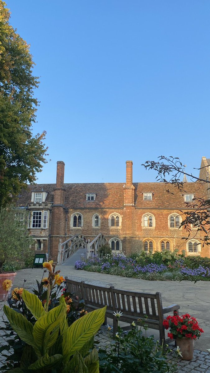 Alice Collins tweet media