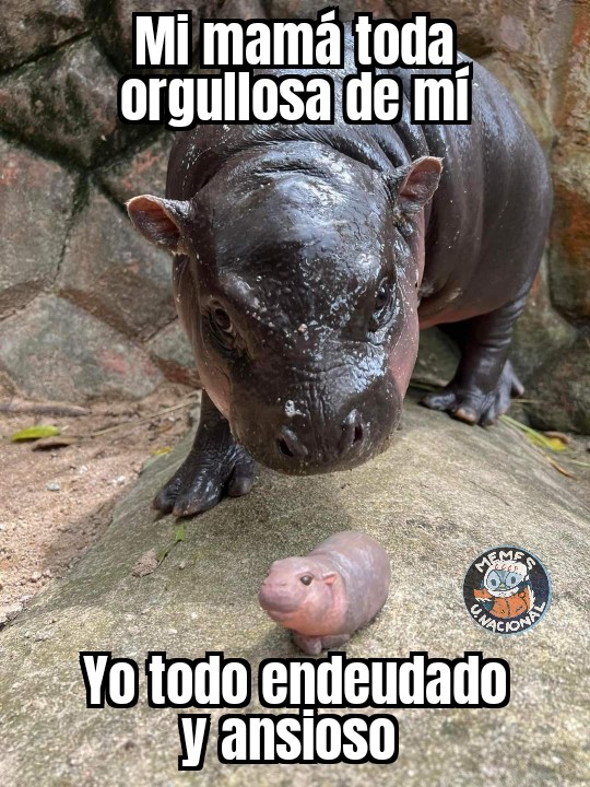 Memes Universidad Nacional (@nacional_memes) on Twitter photo 
