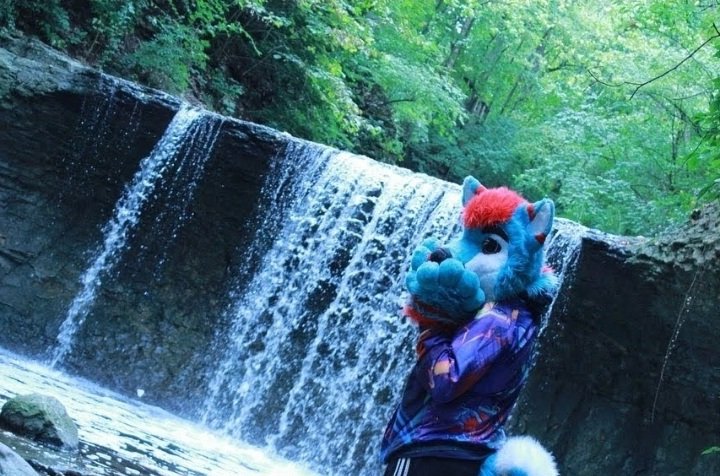 Single furryy!!
Fur vs no fur