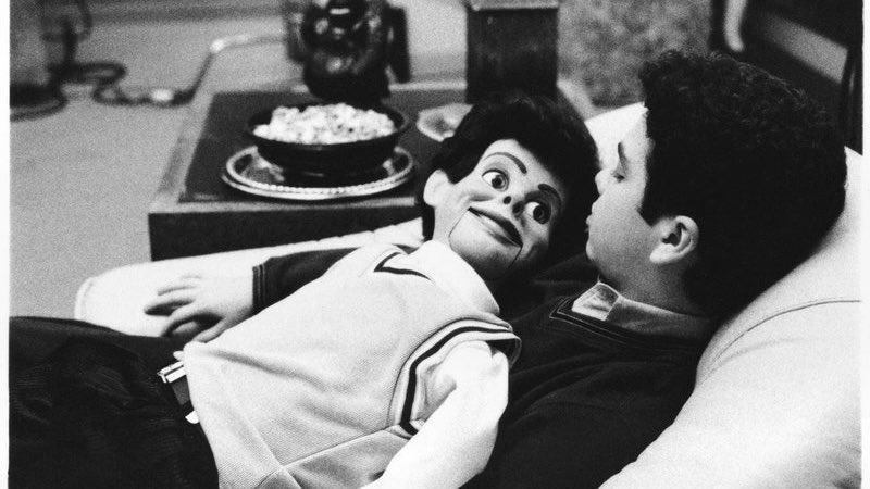 Samm Levine tweet media