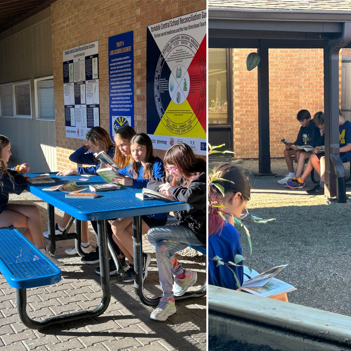 MrsKulcsar's tweet photo. A beautiful morning @PrideInThePaw soaking up the sun while reading a good book in our Reconciliation gardens! 📖🌞 https://t.co/9vjBNYPEKj